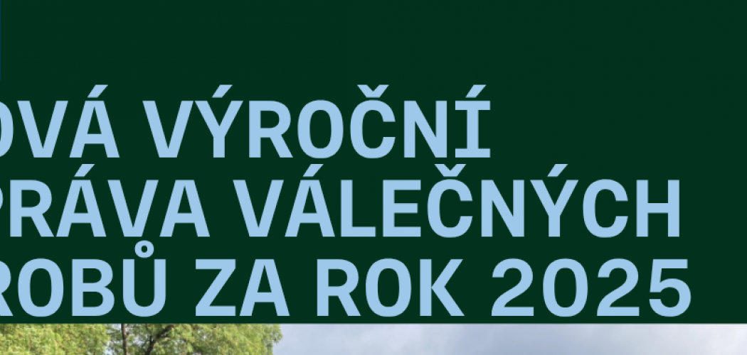 Výroční zpráva za rok 2025