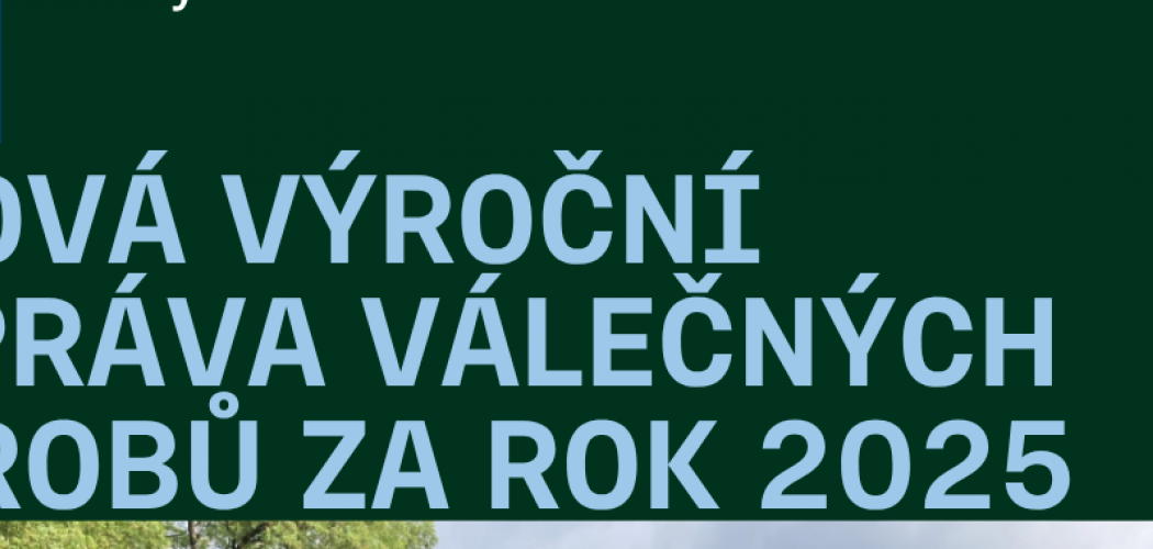 Výroční zpráva za rok 2025
