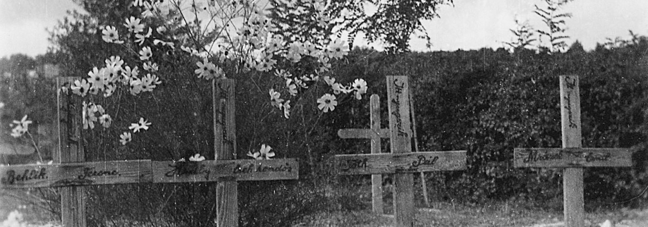 Podkarpatská Rus 1938–1939
