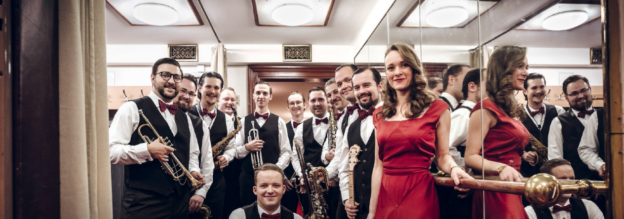 Koncert Orchestru Ježkovy stopy