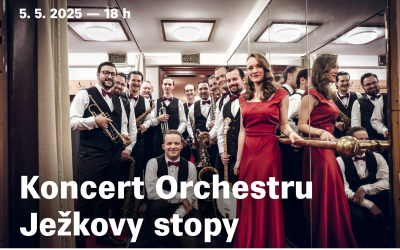 Koncert Orchestru Ježkovy stopy