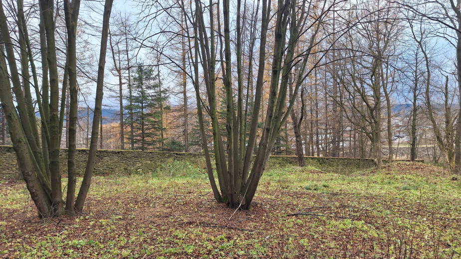 Místo pro vybudování nového památníku v polské Dukle.