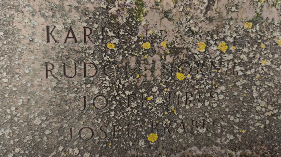 Detail biologického nánosu na pomníku před renovací. 