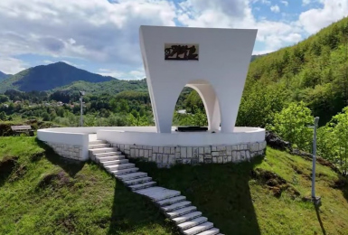 Rozhodující rakousko-uherská ofenziva proti Černé Hoře – bitva u Mojkovce