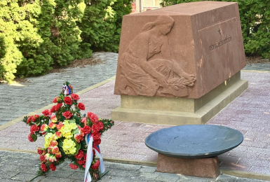 Veselí nad Lužnicí